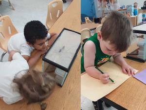 children observing and drawing snails