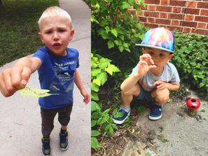 two boys showing bugs they found