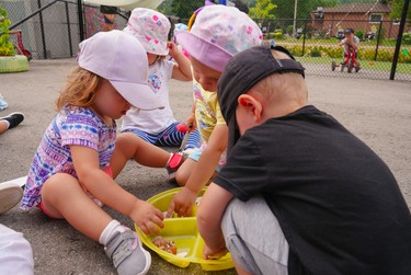 3 toddlers playing with loose part shells