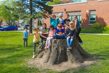 school age children sitting on a big tree stump together and smiling