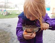 Child with a pot of worms