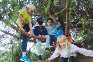 chilren climbing a tree together