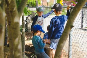 kinder boys talking outside