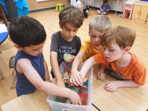 four boys playing with toys together