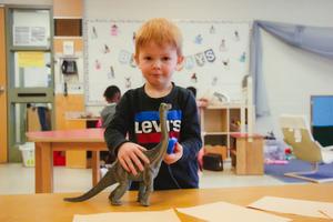 little boy playing with dinosaur toy